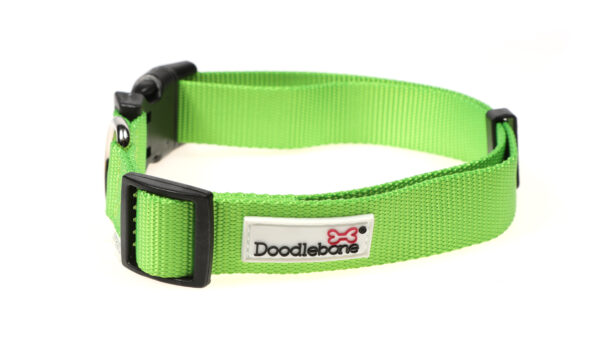 Doodlebone Originals Adjustable Apple Green Dog Collar