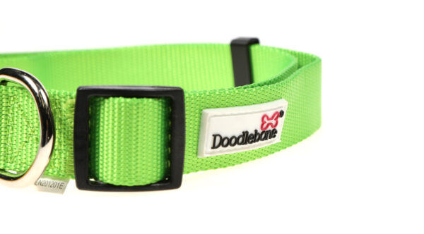 Doodlebone Originals Adjustable Apple Green Dog Collar