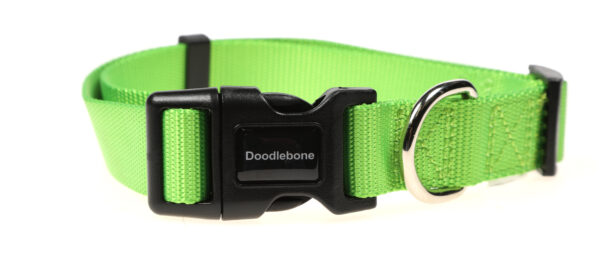 Doodlebone Originals Adjustable Apple Green Dog Collar