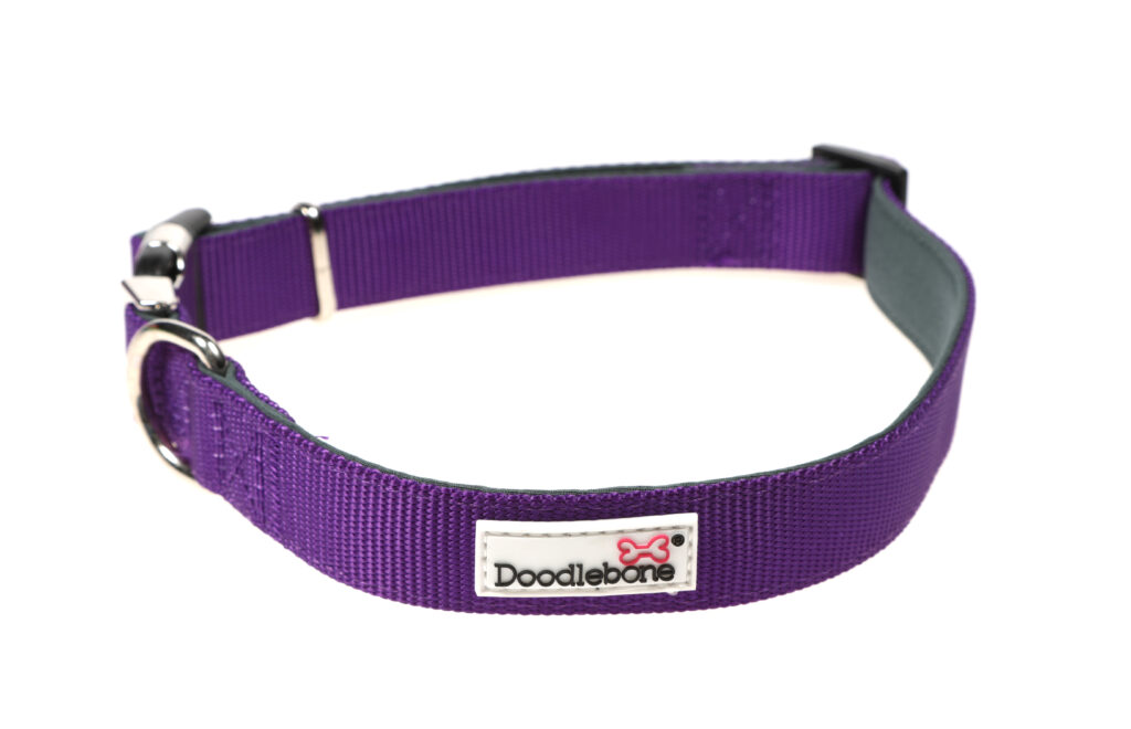 Doodlebone Originals Padded Dog Collar Purple The Lancashire Dog