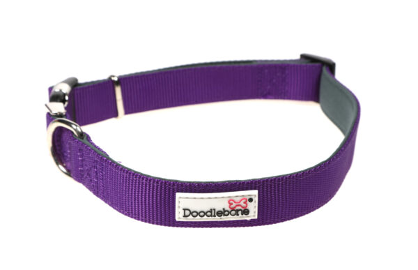Doodlebone Originals Adjustable Padded Purple Dog Collar