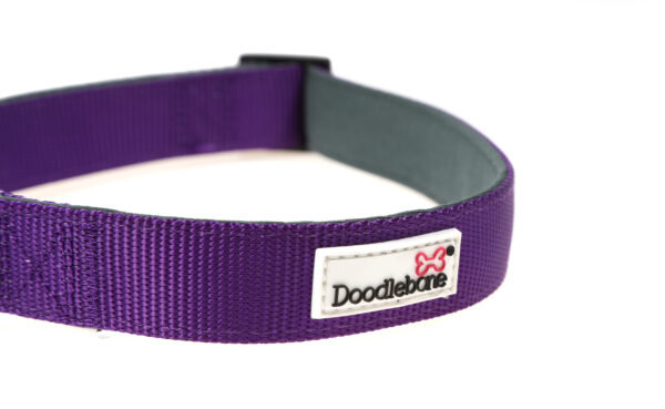 Doodlebone Originals Adjustable Padded Purple Dog Collar