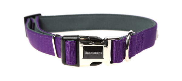 Doodlebone Originals Adjustable Padded Purple Dog Collar