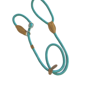 Doodlebone Originals Teal Rope Dog Slip Lead