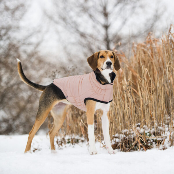 GF PET Reversible Elasto-Fit Chalet Pink and Black Dog Jacket
