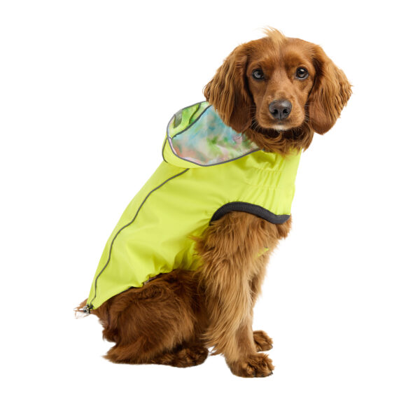 GF PET Neon Yellow and Tie-Dye Waterproof Reversible Raincoat