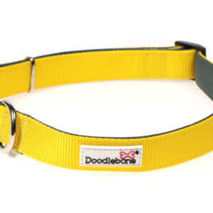 Doodlebone Originals Adjustable Padded Yellow Dog Collar