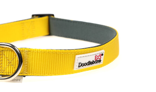 Doodlebone Originals Adjustable Padded Yellow Dog Collar