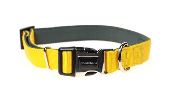 Doodlebone Originals Adjustable Padded Yellow Dog Collar