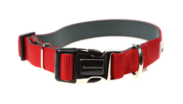 Doodlebone Originals Adjustable Padded Red Dog Collar