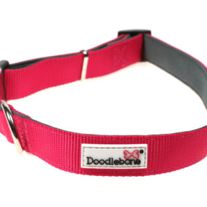 Doodlebone Originals Adjustable Padded Bright Pink Dog Collar