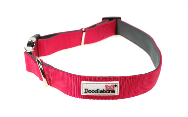 Doodlebone Originals Adjustable Padded Bright Pink Dog Collar