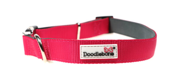 Doodlebone Originals Adjustable Padded Bright Pink Dog Collar