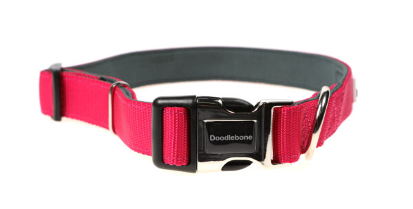 Doodlebone Originals Adjustable Padded Bright Pink Dog Collar