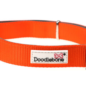 Doodlebone Originals Adjustable Padded Orange Dog Collar