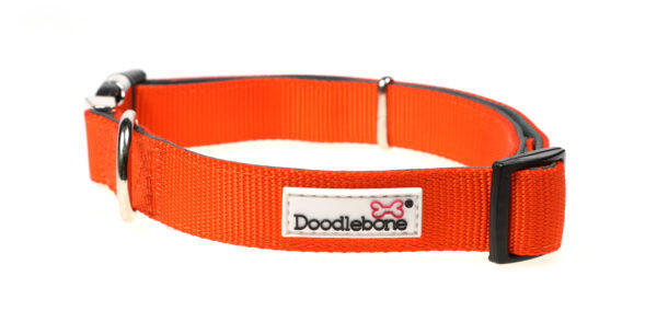 Doodlebone Originals Adjustable Padded Orange Dog Collar