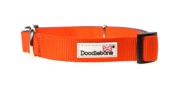 Doodlebone Originals Adjustable Padded Orange Dog Collar