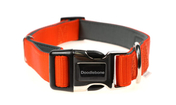 Doodlebone Originals Adjustable Padded Orange Dog Collar