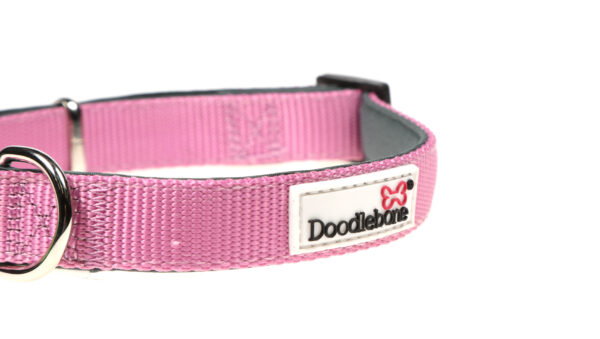 Doodlebone Originals Adjustable Padded Light Pink Dog Collar