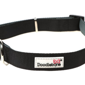 Doodlebone Padded Black Dog Collar at The Lancashire Dog Company