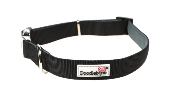 Doodlebone Padded Black Dog Collar at The Lancashire Dog Company