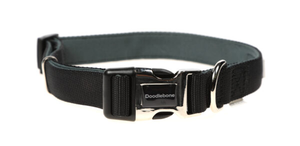 Doodlebone Padded Black Dog Collar at The Lancashire Dog Company