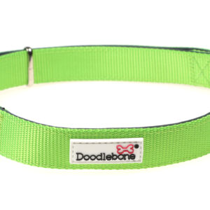 Doodlebone Originals Adjustable Padded Apple Green Dog Collar