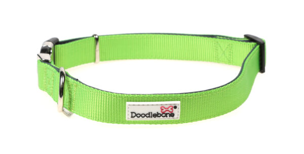 Doodlebone Originals Adjustable Padded Apple Green Dog Collar