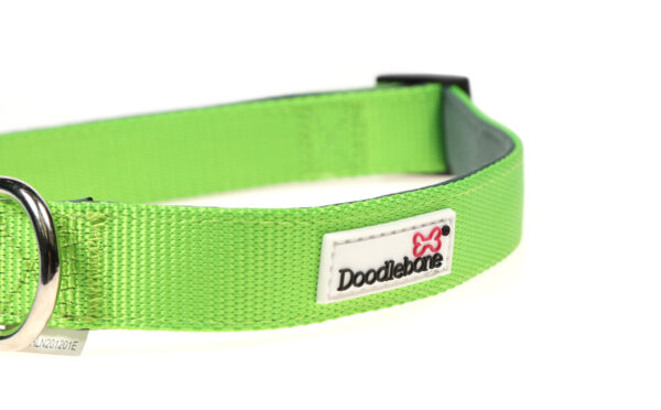 Doodlebone Originals Adjustable Padded Apple Green Dog Collar