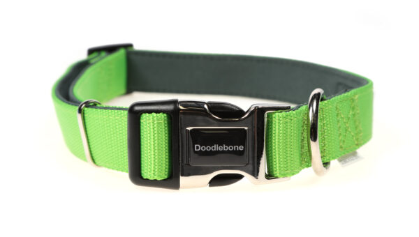 Doodlebone Originals Adjustable Padded Apple Green Dog Collar