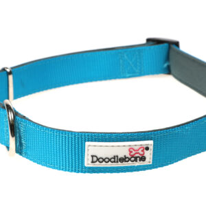 Doodlebone Originals Adjustable Padded Aqua Blue Dog Collar