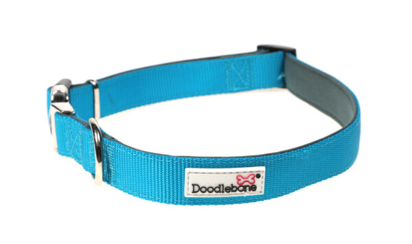 Doodlebone Originals Adjustable Padded Aqua Blue Dog Collar