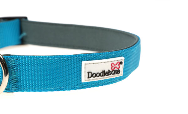 Doodlebone Originals Adjustable Padded Aqua Blue Dog Collar