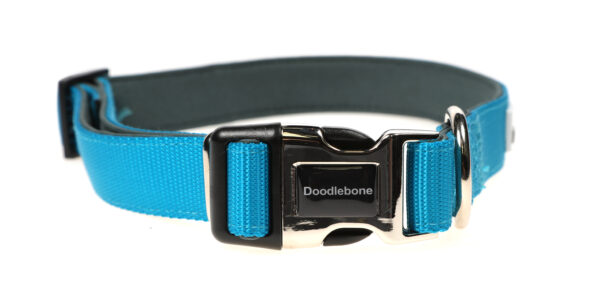 Doodlebone Originals Adjustable Padded Aqua Blue Dog Collar