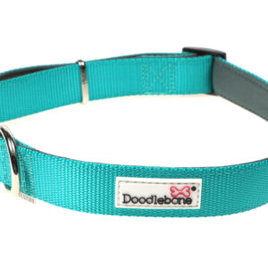 Doodlebone Originals Adjustable Padded Teal Dog Collar