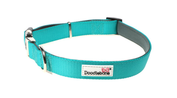 Doodlebone Originals Adjustable Padded Teal Dog Collar