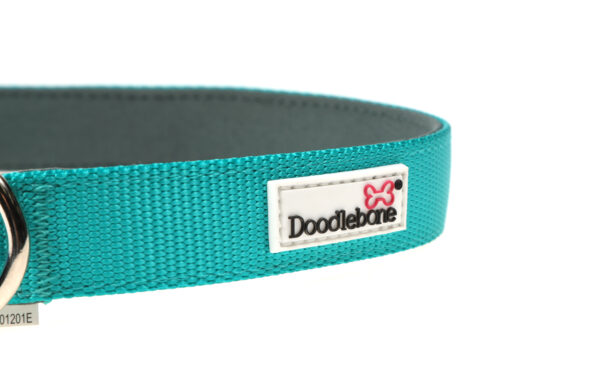 Doodlebone Originals Adjustable Padded Teal Dog Collar