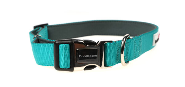 Doodlebone Originals Adjustable Padded Teal Dog Collar