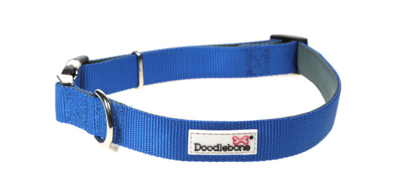 Doodlebone Originals Adjustable Padded Royal Blue Dog Collar