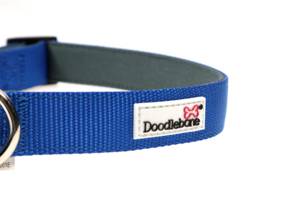 Doodlebone Originals Adjustable Padded Royal Blue Dog Collar