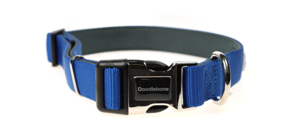 Doodlebone Originals Adjustable Padded Royal Blue Dog Collar