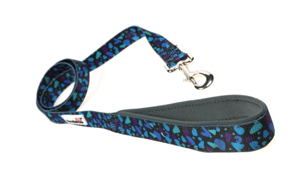 Doodlebone Originals Electric Party Dog Lead