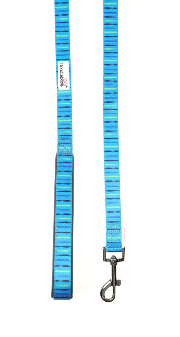 Doodlebone Originals Beyond Blue Dog Lead