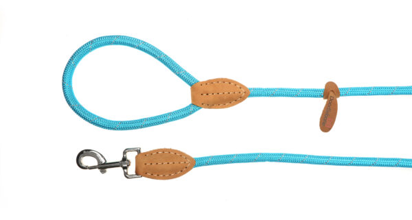 Doodlebone Originals Aqua Blue Rope Dog Lead