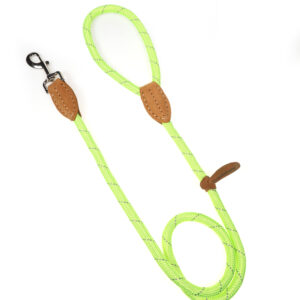 Doodlebone Originals Apple Green Rope Dog Lead