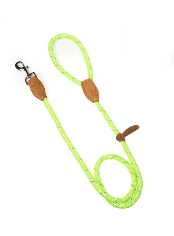 Doodlebone Originals Apple Green Rope Dog Lead