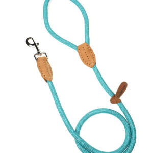 Doodlebone Originals Teal Rope Dog Lead