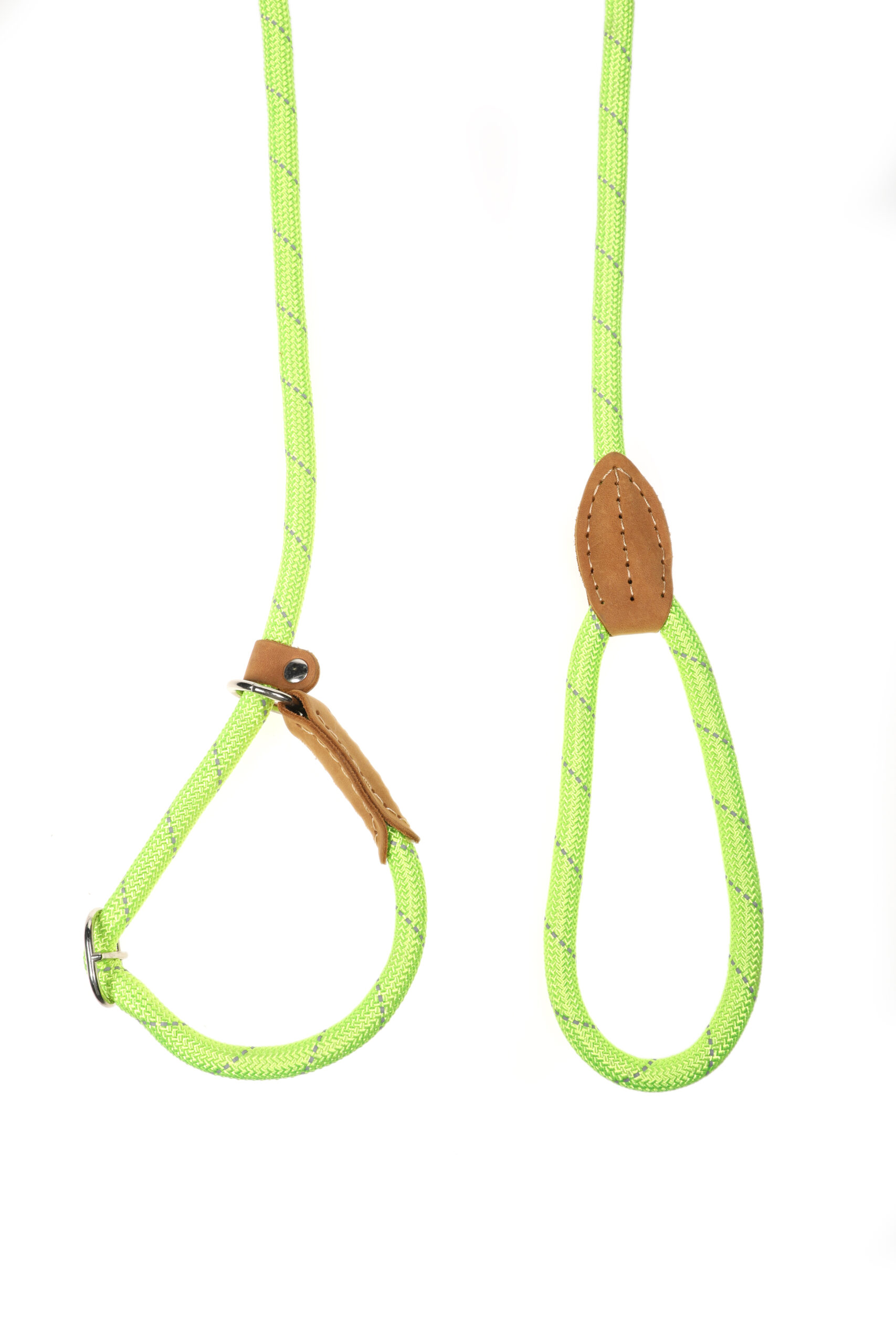 Doodlebone Originals Apple Green Rope Dog Slip Lead