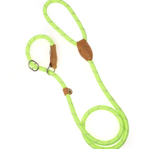 Doodlebone Originals Apple Green Rope Dog Slip Lead