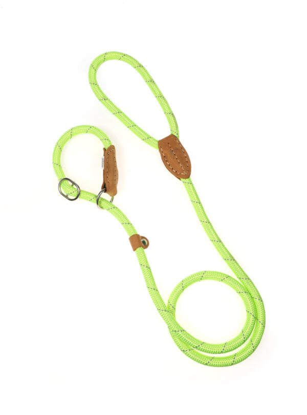 Doodlebone Originals Apple Green Rope Dog Slip Lead